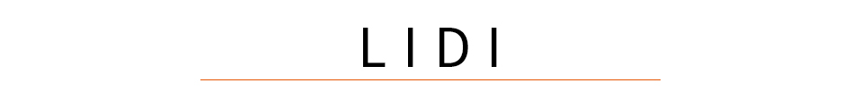 Lidi