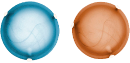 plafon