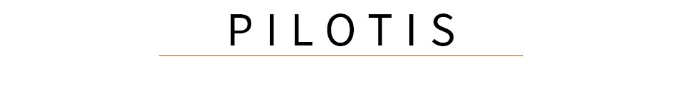 Pilotis