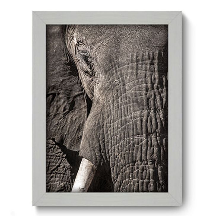 //static.mobly.com.br/p/Allodi-Quadro-Decorativo---Elefante---078qdsb-1099-937182-1-zoom.jpg