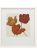 http://static.mobly.com.br/p/Art-Image-Quadro-Tulips-1-Branco-53-x-48-cm-5591-16314-1-gallery.jpg