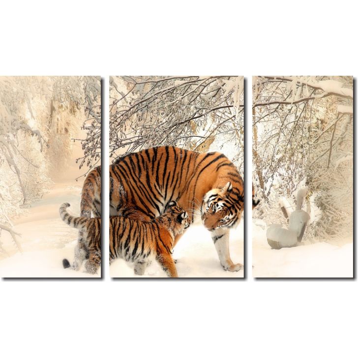 quadro tigre branco casal para decoração 3 peças