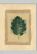 http://static.mobly.com.br/p/Casa-Castro-Quadro-Nh175A-2017-Branco-32x2x2-4884-65533-1-gallery.jpg