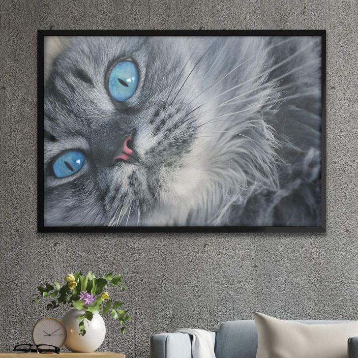 Quadro Decorativo moderno Pintura engraçada de um gato cinza - TenStickers