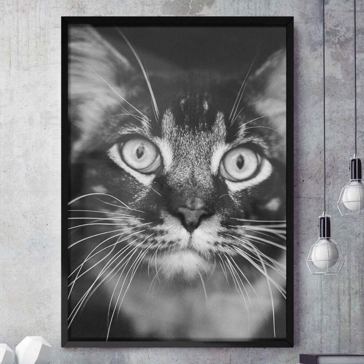 Quadro Decorativo Gato Preto E Branco Desenho Minimalista 4879