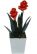 http://static.mobly.com.br/p/Manuela-Moraes-Vaso-TrapC3A9zio-com-BromC3A9lia-9260-40971-1-gallery.jpg