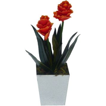 Vaso Trapézio com Bromélia