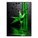 Quadro Decorativo Barcelona Verde &amp; Gotas Vd 50X70 Cm