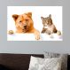 Painel Fotográfico Adesivo Animais 46- Pequeno 56x67cm