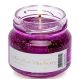 Vela Aromática Geleia de Frutas Perfumada Mels Brushes 85g Blueberry