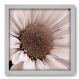 Quadro Decorativo - Flor - 101qdfb