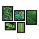 Kit Com 5 Quadros Decorativos - Verde Suculenta Natureza - 092kq01p