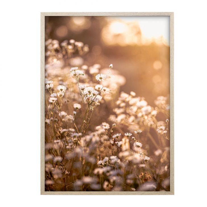 Quadro Romântico Flores II com Vidro Colorido 30x40 cm