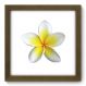 Quadro Decorativo - Flor - 073qdfm