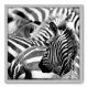 Quadro Decorativo - Zebras - 70cm x 70cm - 001qnsdb