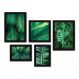 Kit Com 5 Quadros Decorativos - Folhas Natureza Costela de Adão - 083kq01p