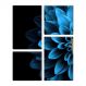Conjunto de 4 quadros decorativos Slim Flor Azul 105x85cm