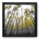 Quadro Decorativo - Floresta - 33cm x 33cm - 060qndbp