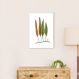 Quadro Botânica Folhas Niphobolus Ingua 86x60 Filete Branco