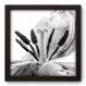 Quadro Decorativo - Flor - 099qdfp