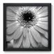 Quadro Decorativo - Flor - 064qdfp