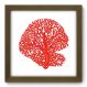 Quadro Decorativo - Coral - 059qdkm