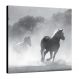 Placa decorativa 19x19cm - 2 cavalos em branco e preto