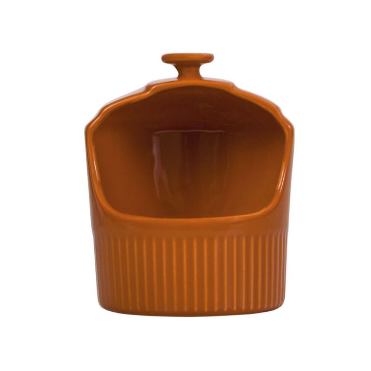 Pote de Sal Assar e Servir Laranja