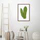 Quadro Botânica Polypodium Musaefolium 43x30 Caixa Marrom