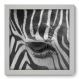 Quadro Decorativo - Zebra - 22cm x 22cm - 003qnsab