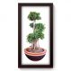 Quadro Decorativo - Bonsai - 280qddp