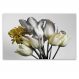 Quadro Decorativo Floral Fotografico Tulipas e Margaridas, Tela em Canvas na Horizontal ideal para ambiente de Sala de estar, jantar, reuniões, Quarto e Hall de entrada