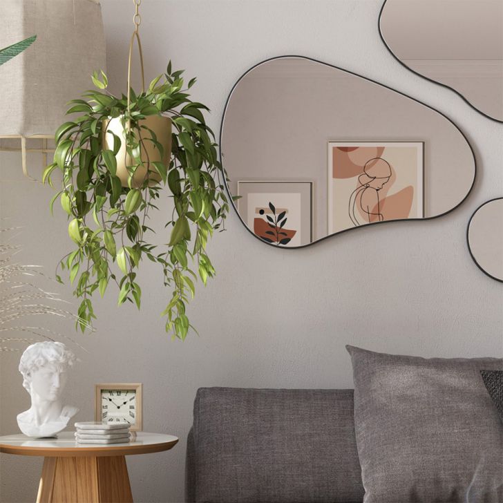 Espelho Orgânico Preto 59x79 cm