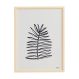 Quadro Folha de Coqueiro 40x60 - JOSH