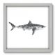 Quadro Decorativo - Tubarão - 036qdsb