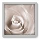 Quadro Decorativo - Rosa - 33cm x 33cm - 001qnfbb