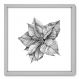 Quadro Decorativo - Flor - 50cm x 50cm - 019qnfcb