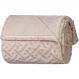 Manta Queen Brushed New Microfibra Flannel 100% Poliéster 220x230 Linho