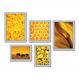 Kit Com 5 Quadros Decorativos - Amarelo Cobra Flor Elefantes - 105kq01b