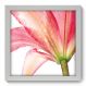 Quadro Decorativo - Flor - 004qdf