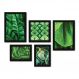 Kit Com 5 Quadros Decorativos - Folhas Natureza Verde - 085kq01p