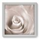 Quadro Decorativo - Rosa - 049qdf