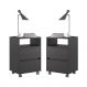 KIt de 2 Gaveteiros Flex Preto Onix