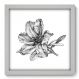 Quadro Decorativo - Flor - 33cm x 33cm - 018qnfbb