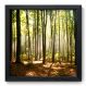 Quadro Decorativo - Floresta - 33cm x 33cm - 074qnpbp