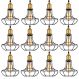 Kit 12 Pendente Aço Taschibra 40w Vintage 185 Preto Lustre