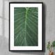 Quadro Decorativo Folha Molhada-34x49Cm