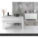 Conjunto Escritório 02 Peças CJ23 Branco Tecno Mobili