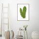 Quadro Botânica Polypodium Musaefolium 43x30 Filete Marrom