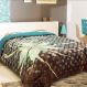 Coberdrom Casal Cintia